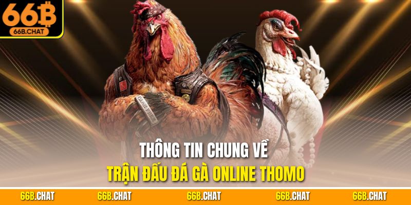 Thông tin chung về trận đấu đá gà online Thomo