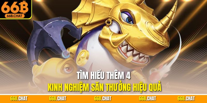 Tìm hiểu thêm 4 kinh nghiệm săn thưởng hiệu quả